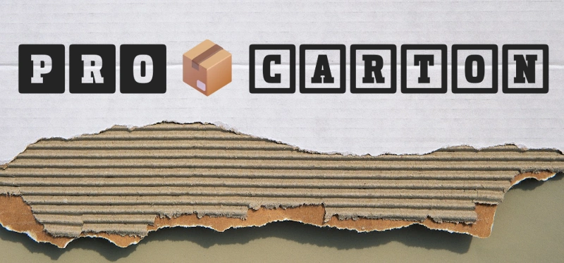 Finisajul cutiei: Tradițional sau modern?