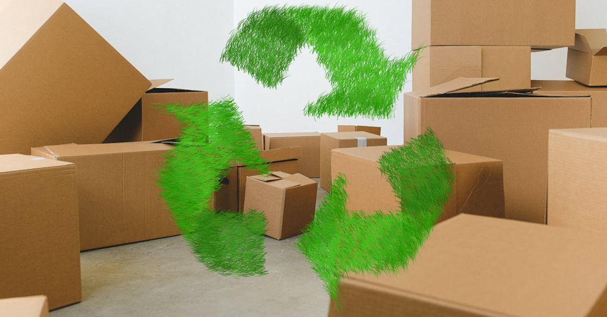 Cum funcționează ciclul cartonului ondulat și de ce contează pentru afacerea ta